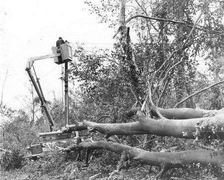 Power Lines down in Gillingham, after the great storm of 1987.