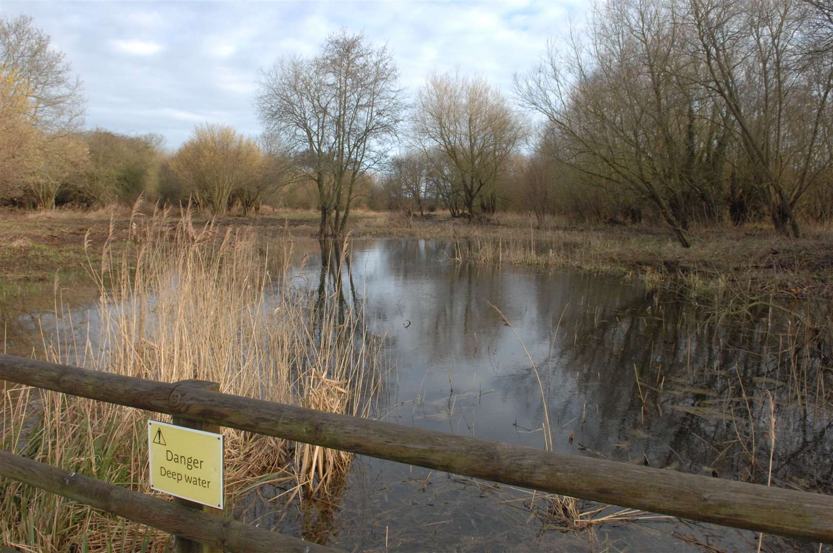Stodmarsh nature reserve has been polluted with high levels of nitrogen and phosphorus from waste water
