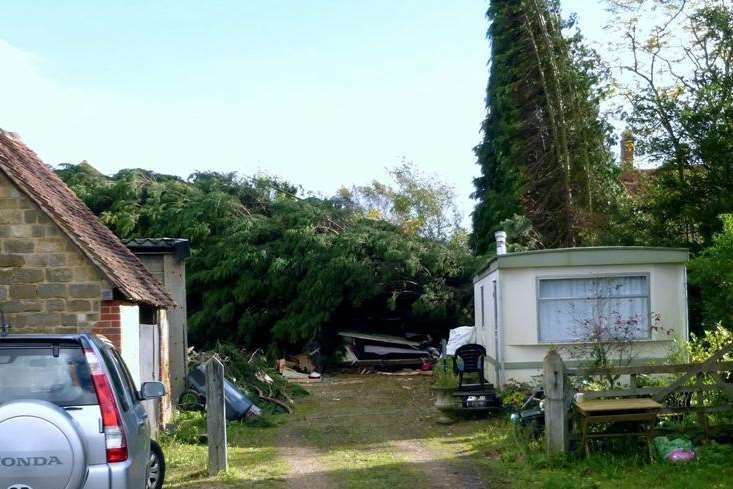 Bethany Freeman died after a huge tree was blown onto the caravan where she was sleeping Picture: Ben Cusack / SWNS.com