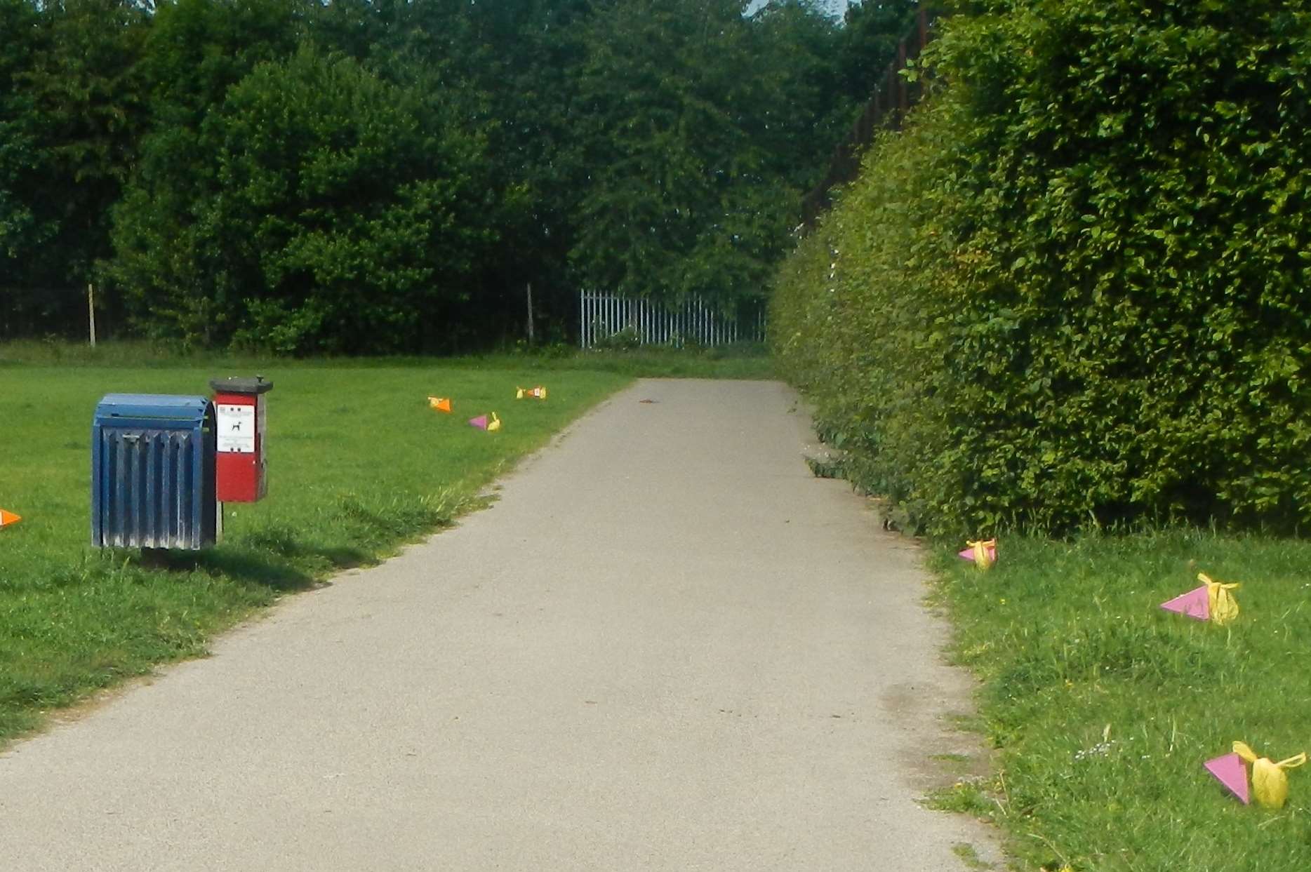 Several dog mess deposits are bagged and flagged just metres from a dog waste bin at Tonbridge Farm Sportsground