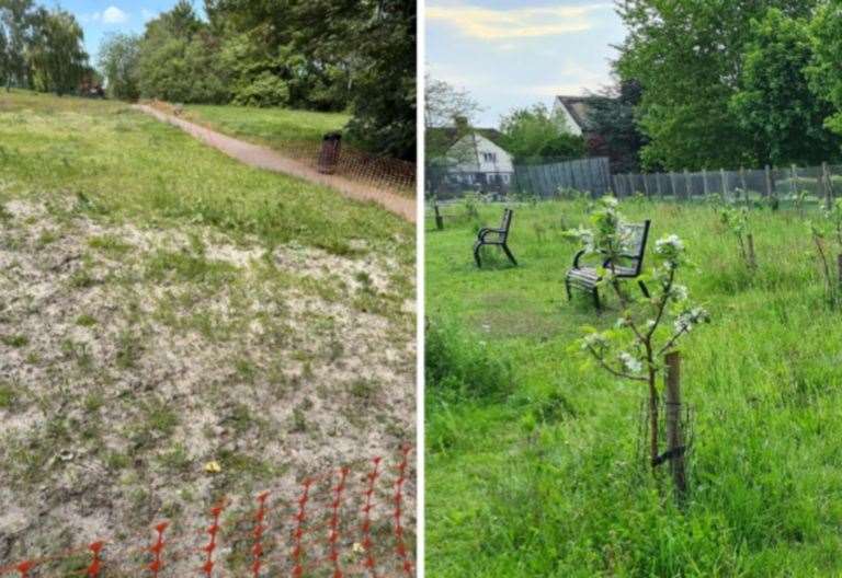 Wildflower meadow in Worcester Park, near Greenhithe compared to a ‘building site’