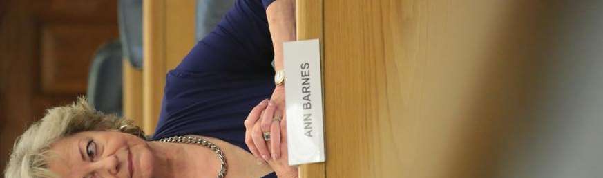 Police commissioner Ann Barnes is to appear before the Kent and Medway Crime Panel
