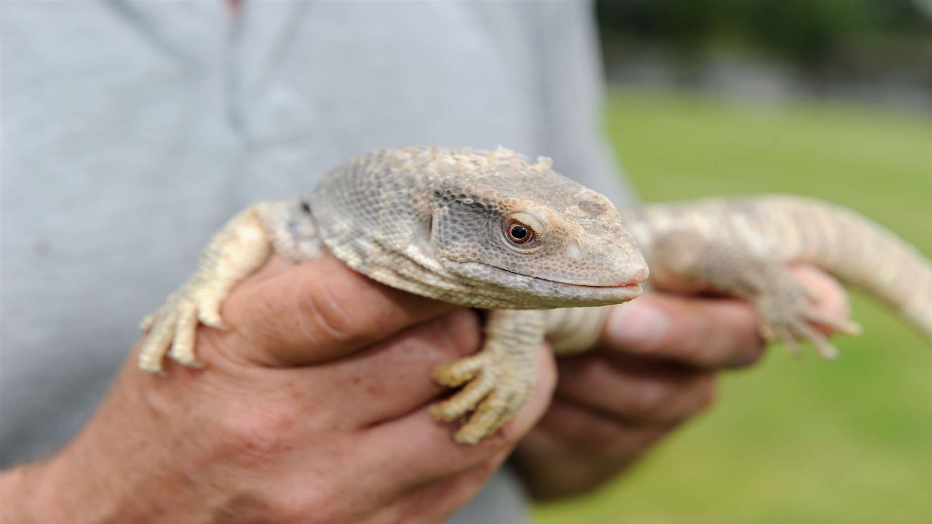 A new national reptile welfare centre will be the first of its kind in the UK