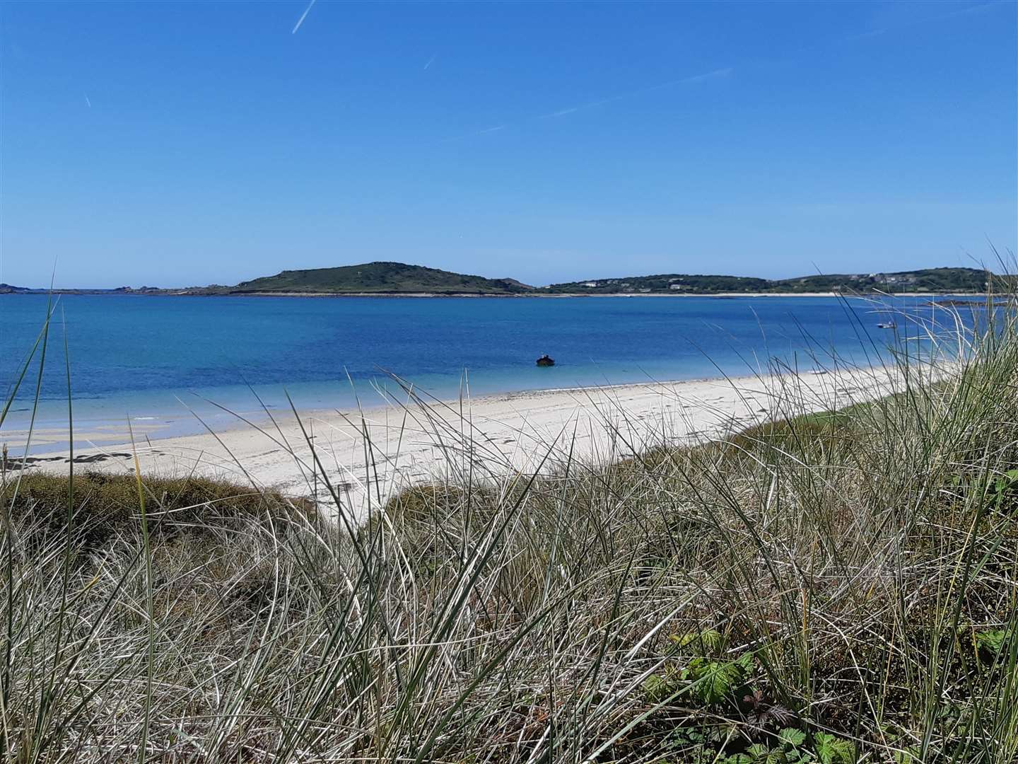 The beaches, on Tresco, Isles of Scilly are stunning