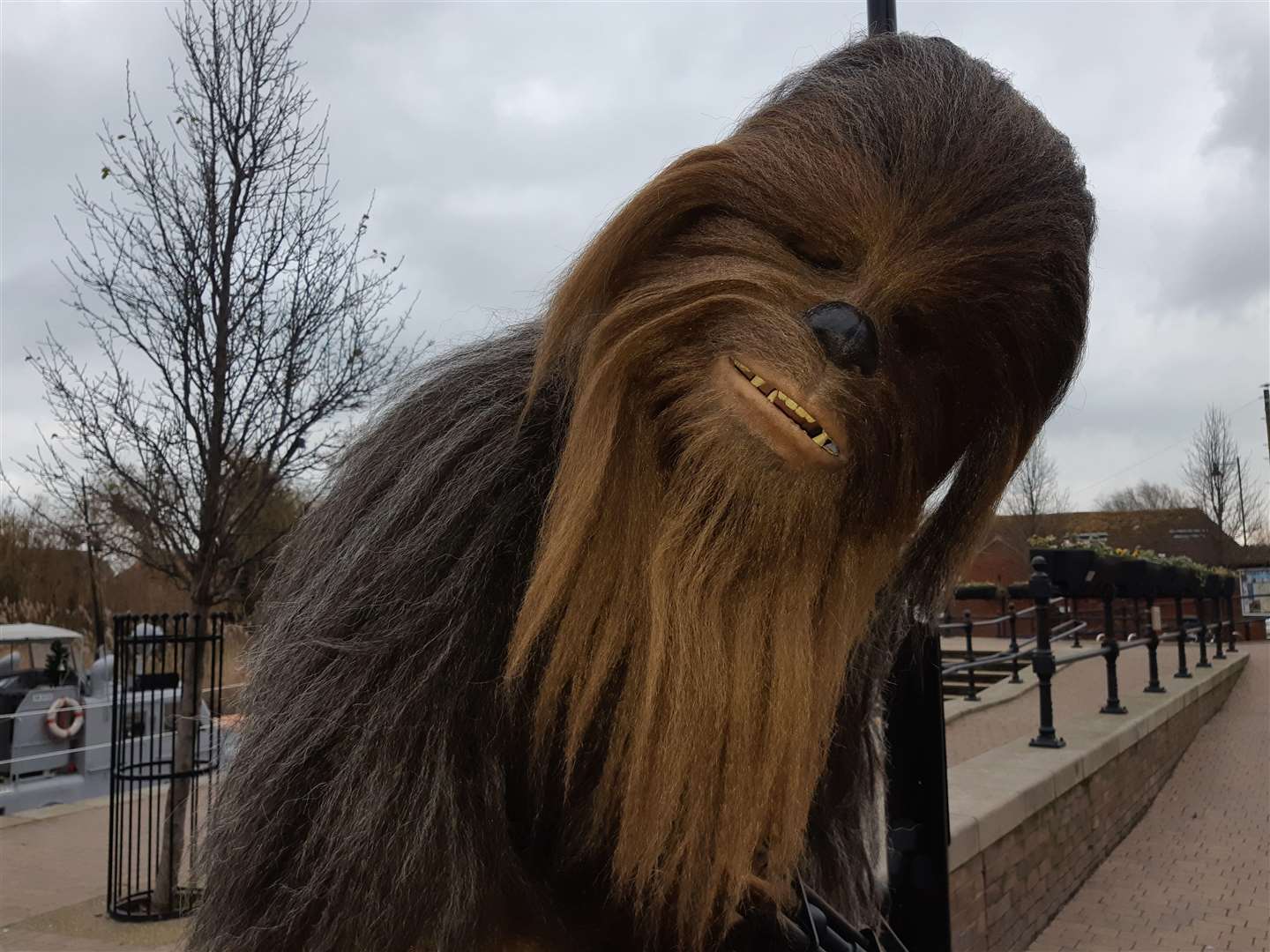 Chewbacca on The Quay in Sandwich (6015578)