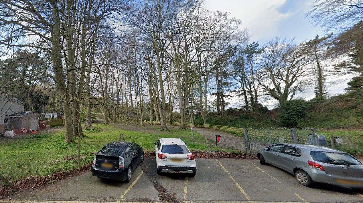 How the trees looked in Crabble Avenue before they were cut down. Picture: Google