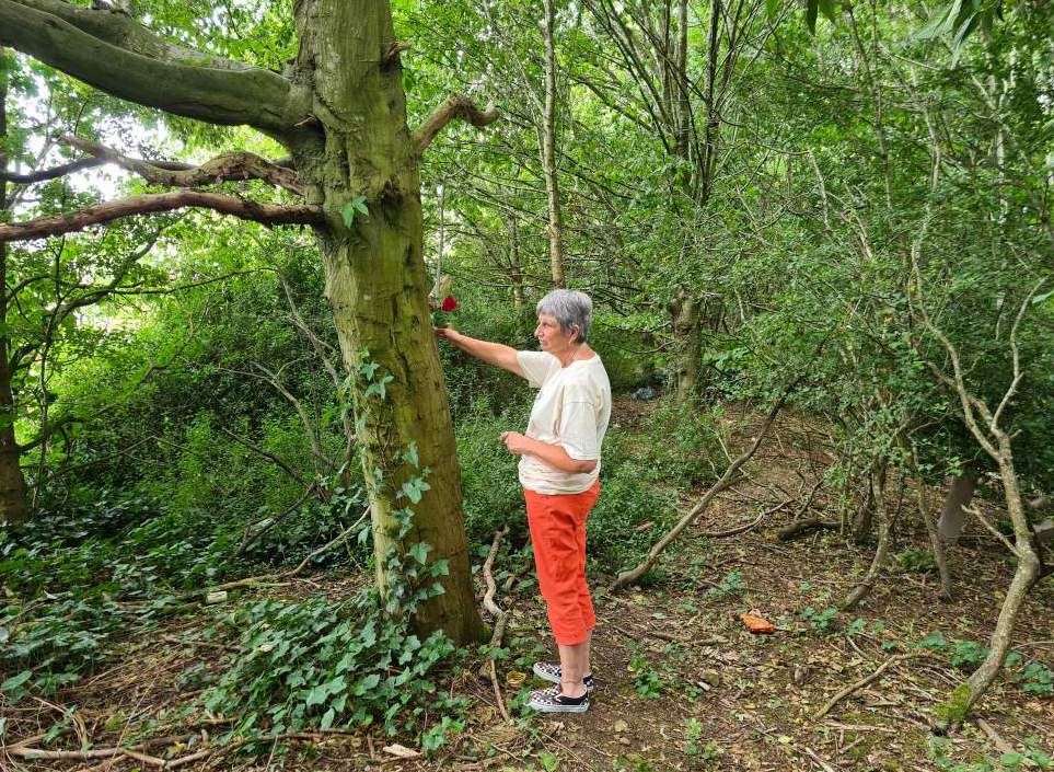 Ashley’s mother Janet putting a flower in the woods where her son was found. Picture: David Dighton