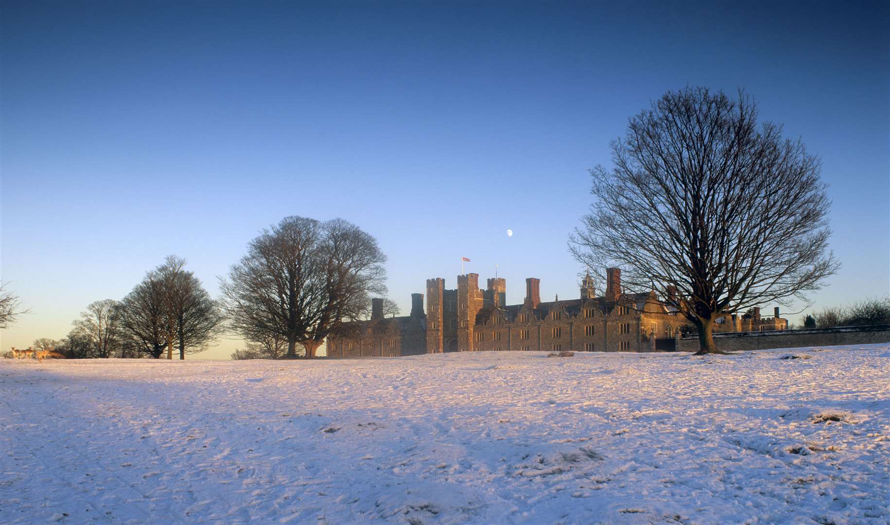 Take in views of Knole deer park this Christmas. Picture: © National Trust Images / David Sellman