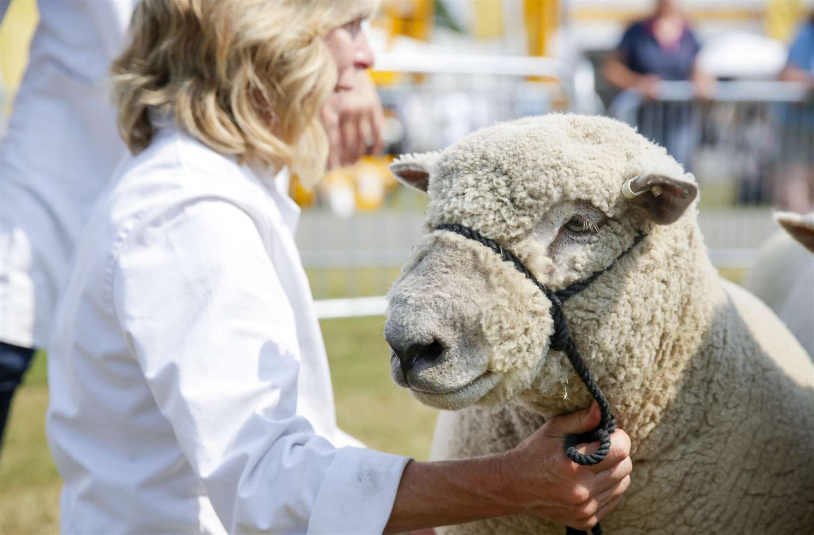 Kent County Show Picture: Thomas Alexander