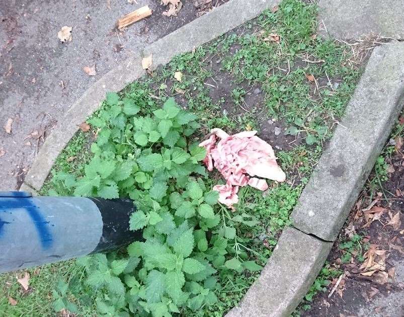 Dog lovers fear the raw meat left near a lamppost could be "poisonous"