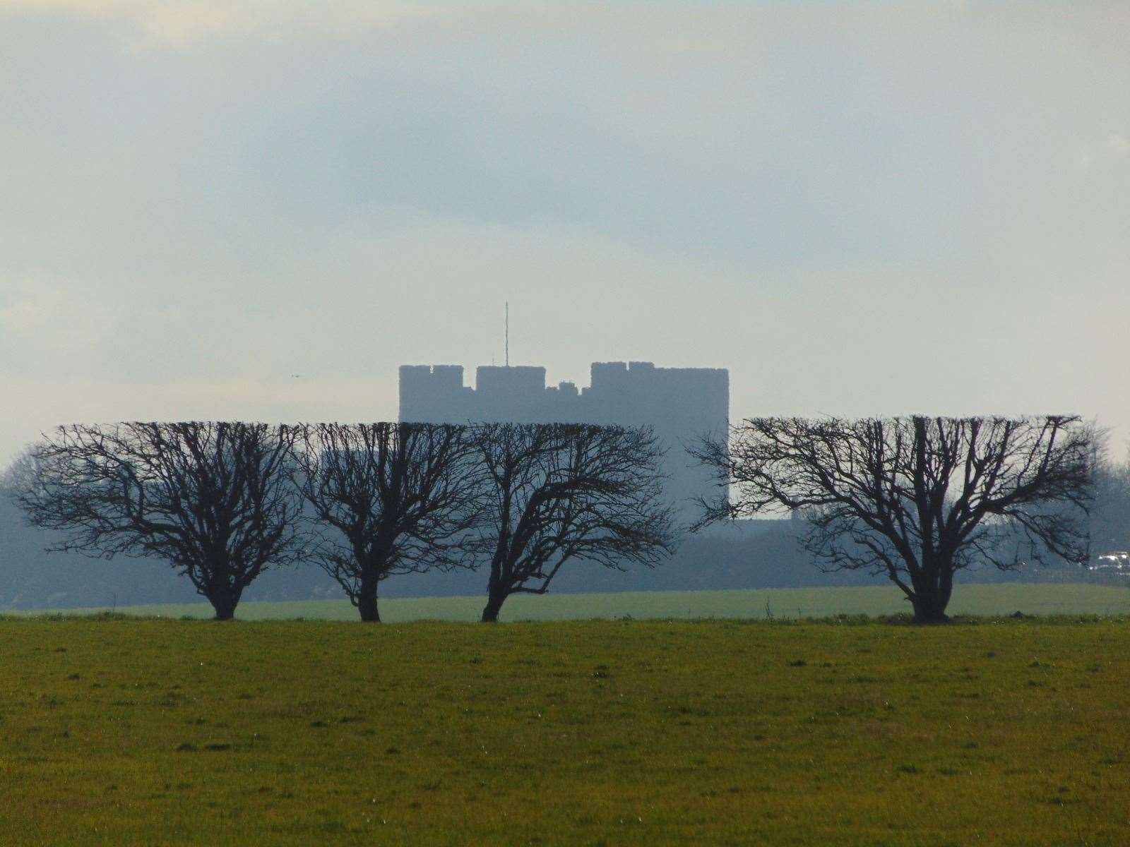 Bonus runner up 1: Maddison Cotter, 11, took this atmospheric shot of Dover Castle behind trees