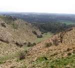 The North Downs Way - one of the county's attractions