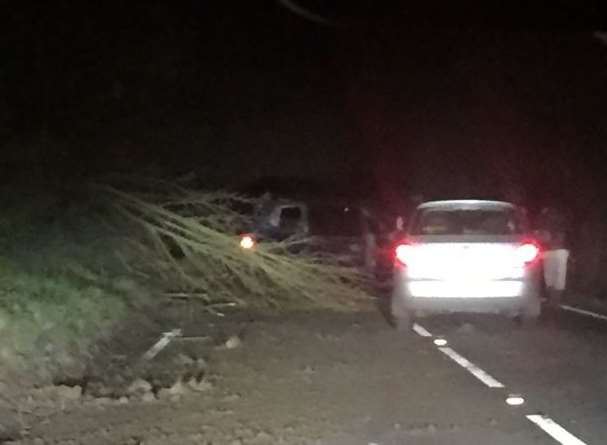 Car crashes into tree on Alkham Valley