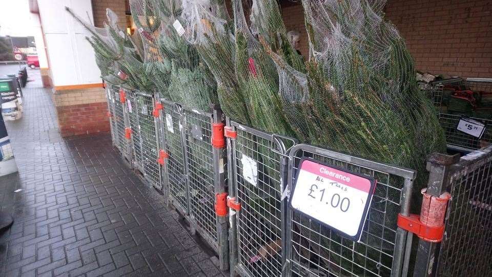 B&Q in Canterbury is selling Christmas trees for £1 (24900974)