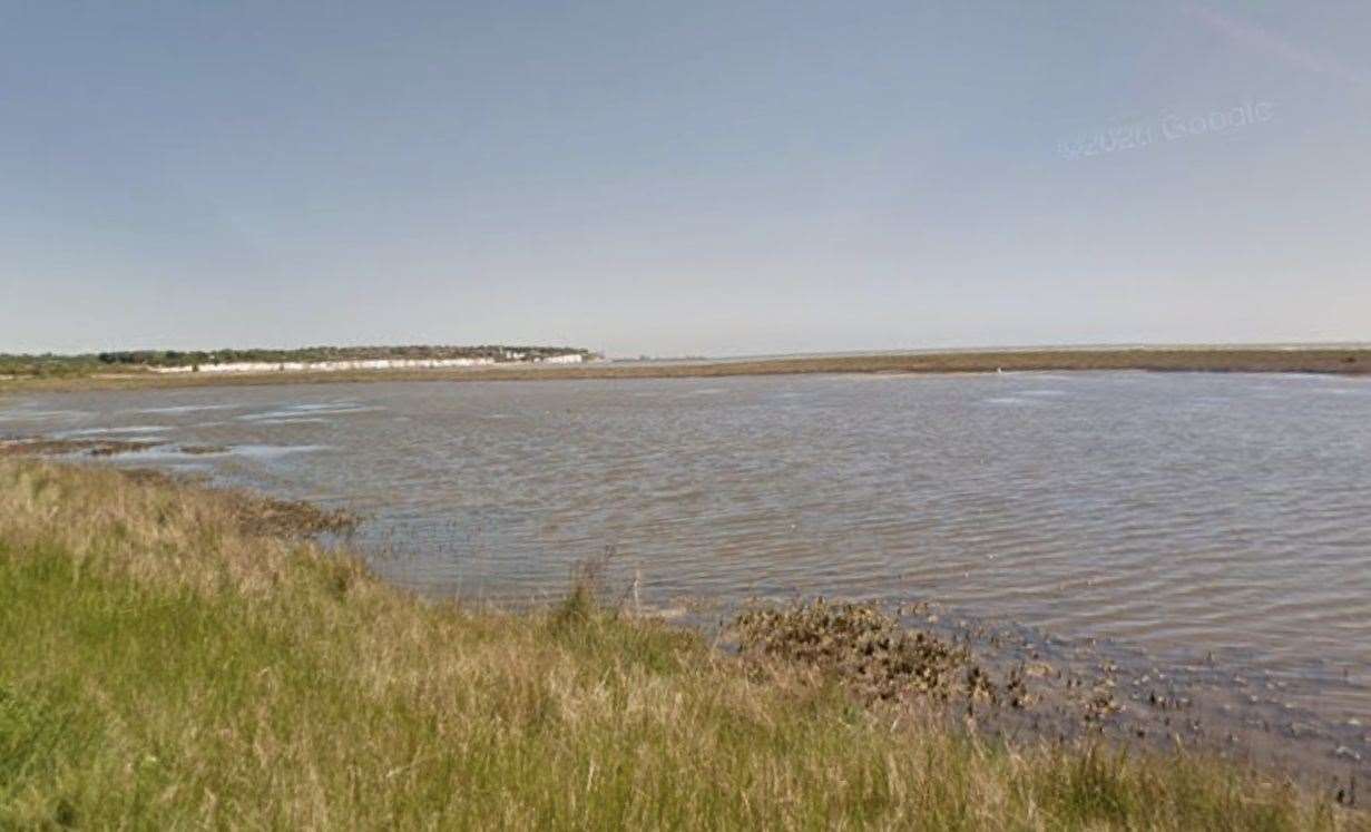 The animals at Pegwell Bay are in the middle of pupping season.