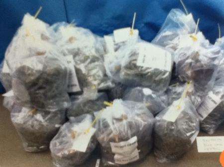Bags of cannabis worth £5million were found inside Luis Lopes De Faria's lorry