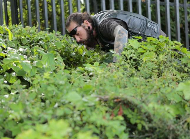 Chris Cini is searching Larkfield for his snake, Zombie. Picture: Martin Apps
