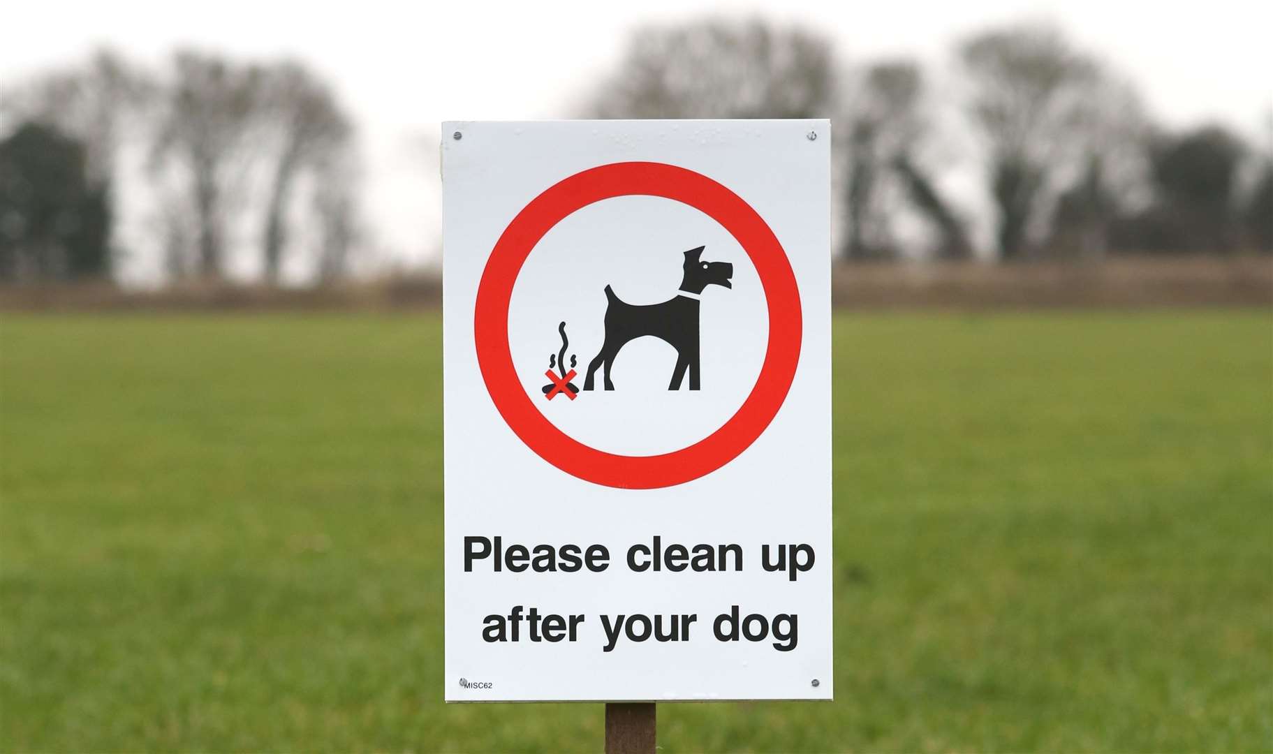 Thanet issued four fines for dog fouling