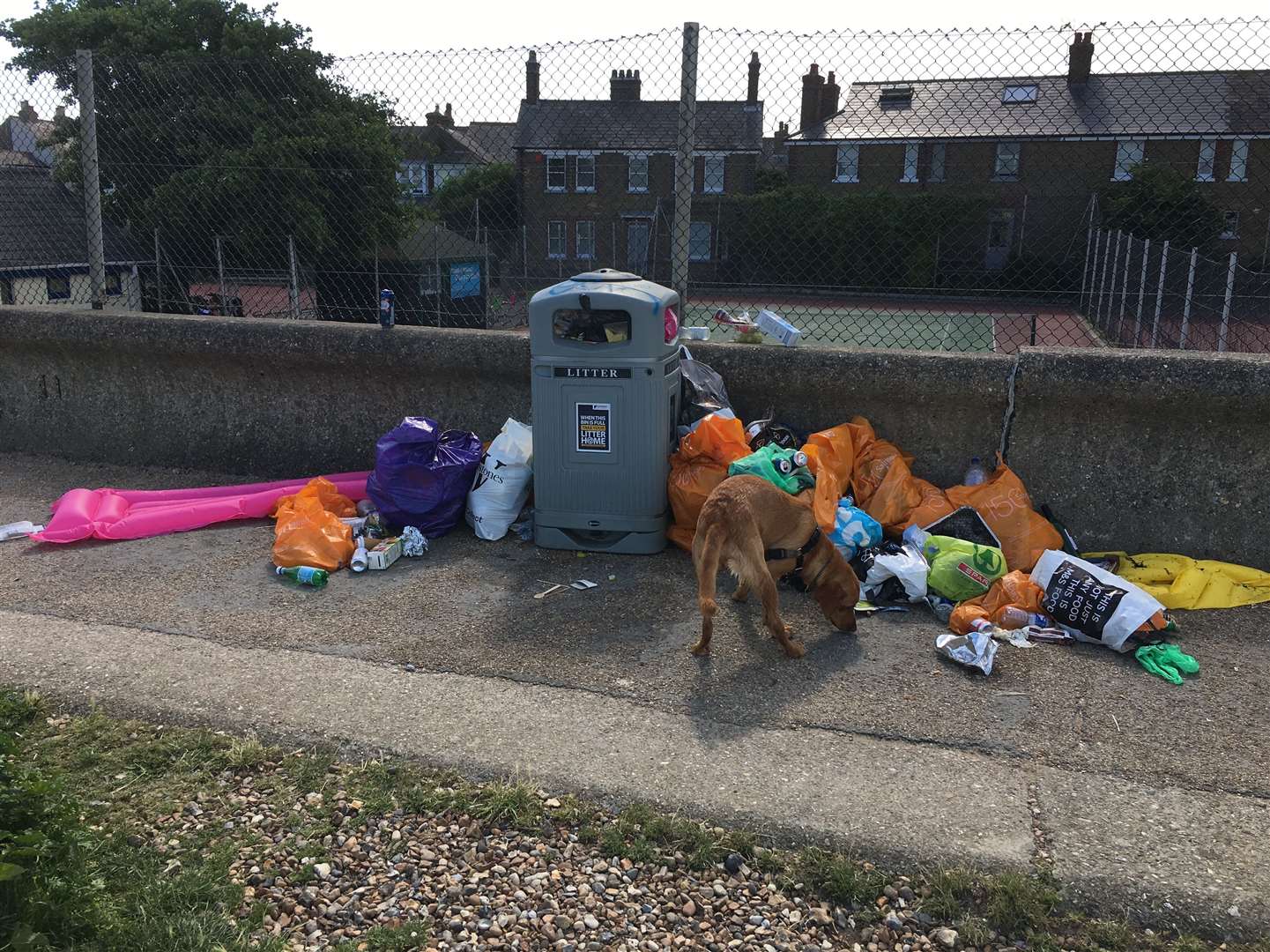 Litter on Whitstable beach on June 30. Pic: George Caffery