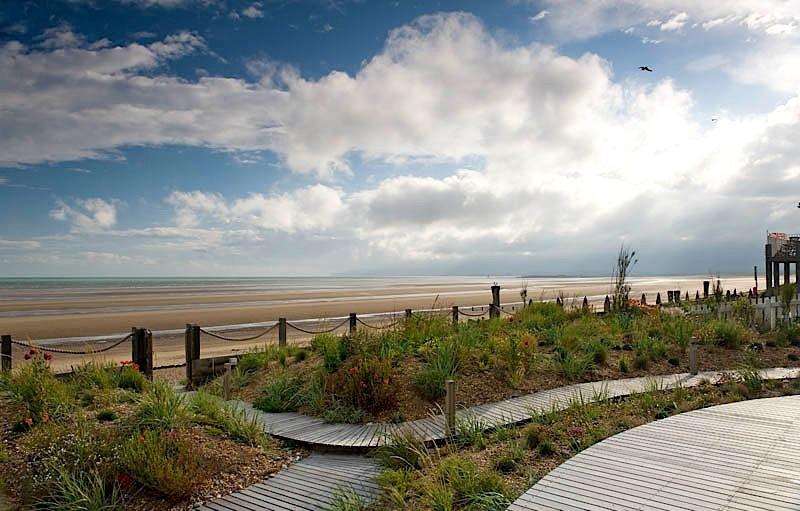 Sea Gem, Camber Sands by Jo Thompson