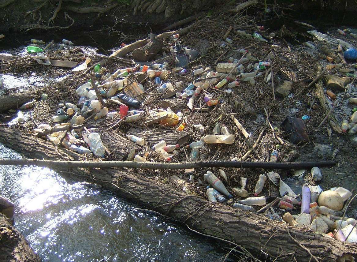 Plastic bottles are a menace to wildlife in the river Stour