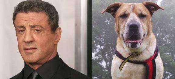 Sylvester Stallone and his lookalike Sizzles