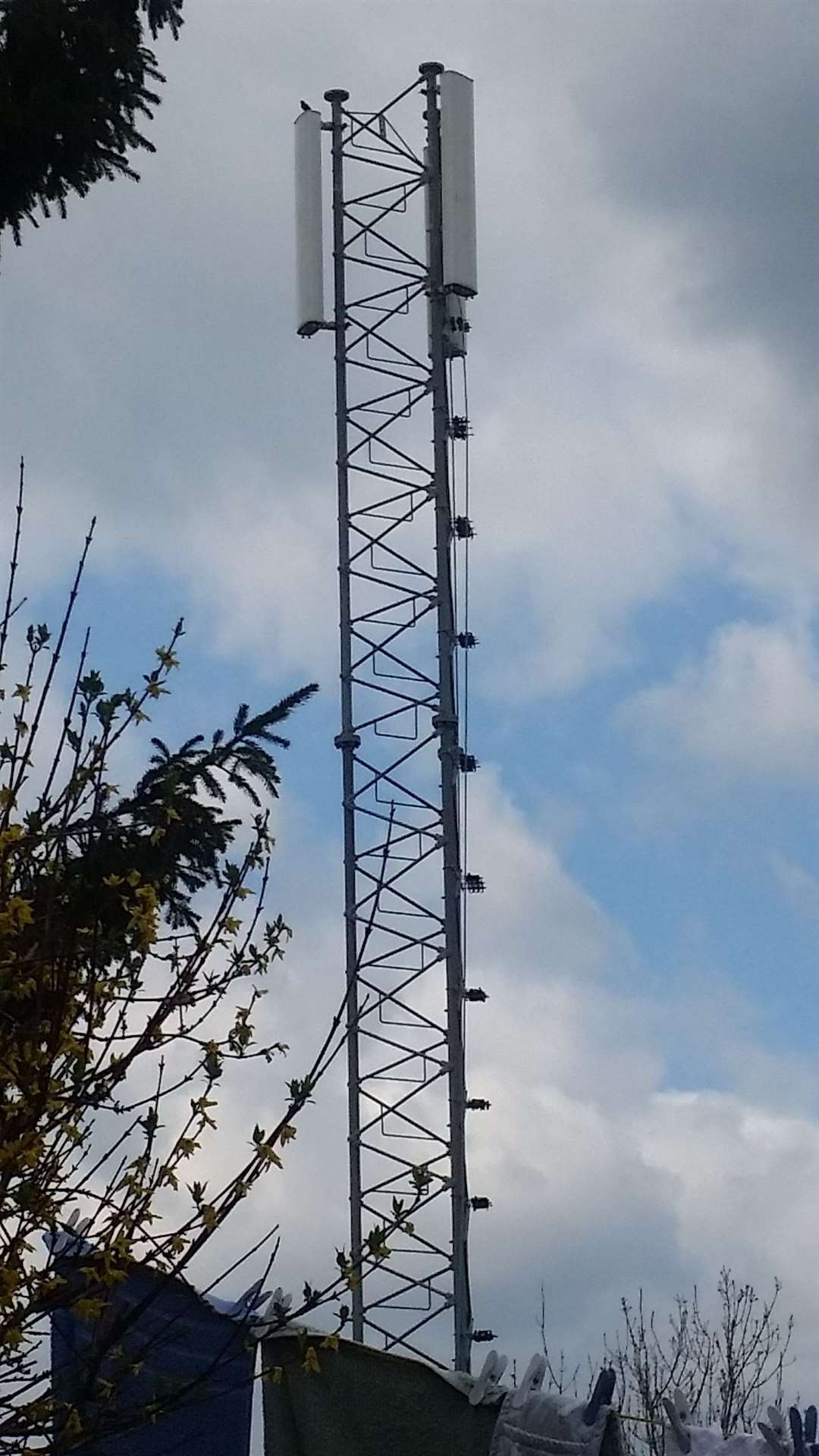 The mast at Quarry Hill, Tonbridge