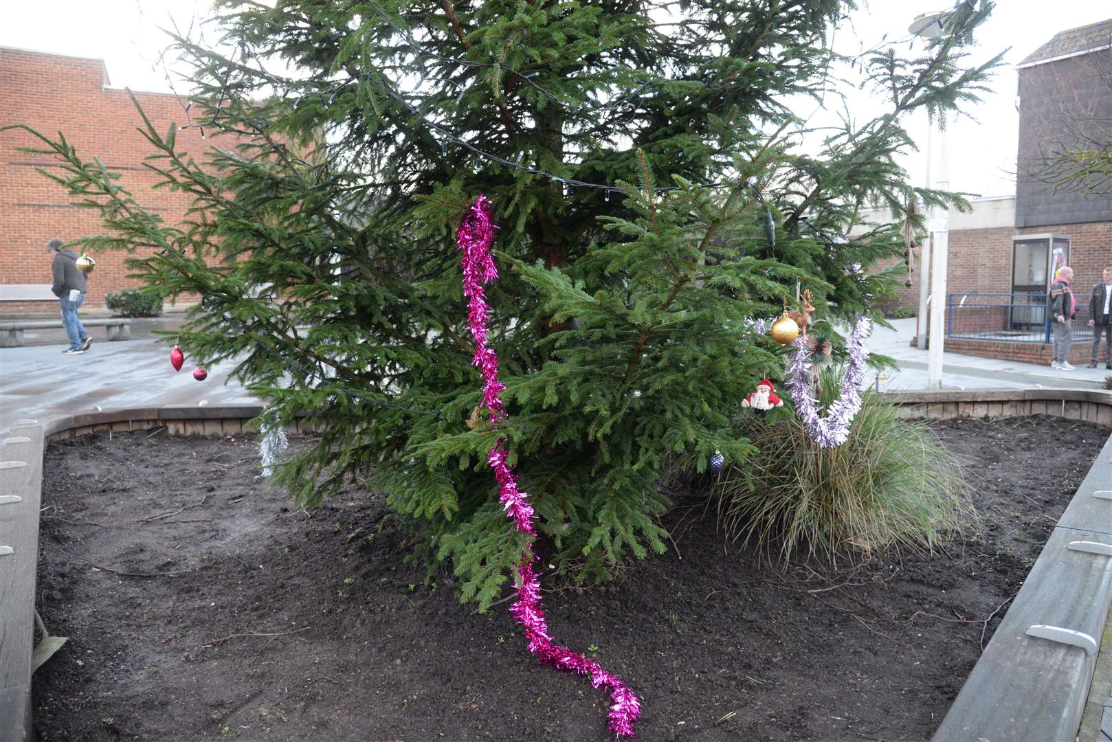 The Strood Christmas Tree. Picture: Chris Davey. (6205043)