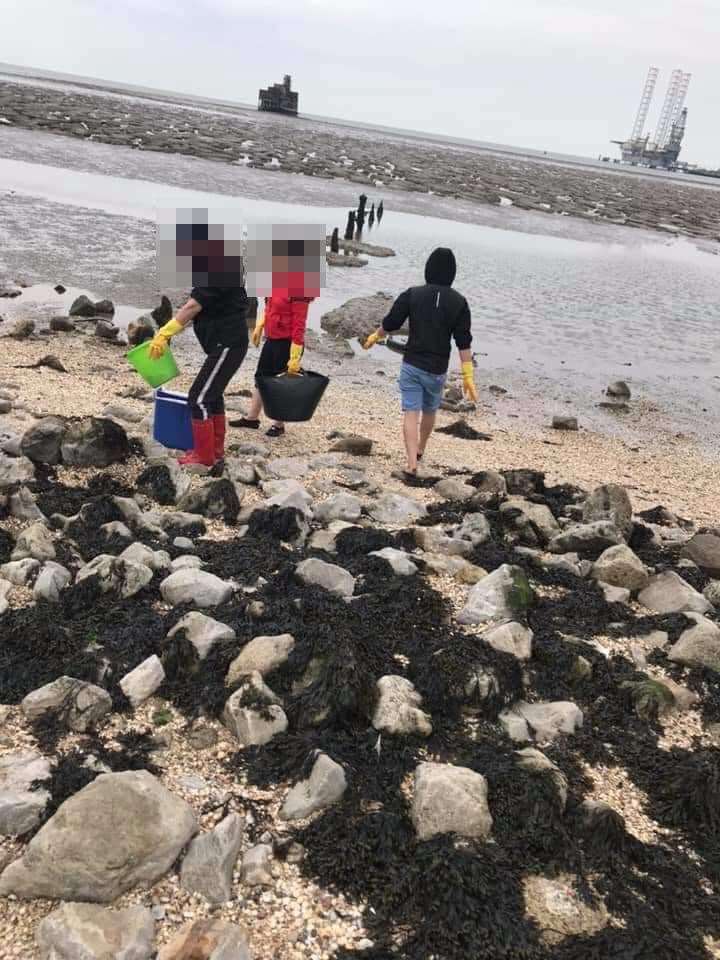 Groups of shellfish pickers spotted on the beach in Grain last month has sparked concerns it is "raping and pillaging" the ecosystem
