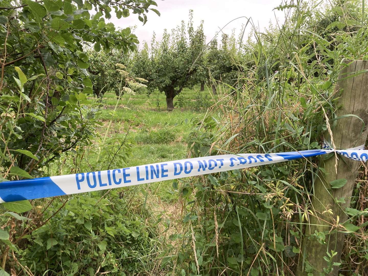 Police cordoned off fields off Highsted Road, Sittingbourne, after a 16-year-old girl was stabbed