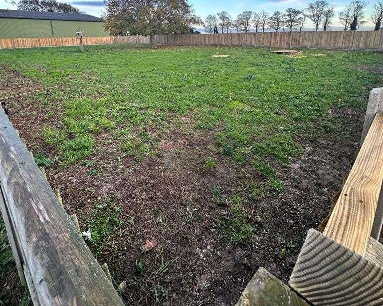 The field in Thanet is free to use but owners must leave it clean and tidy. Picture: Gail Robertson