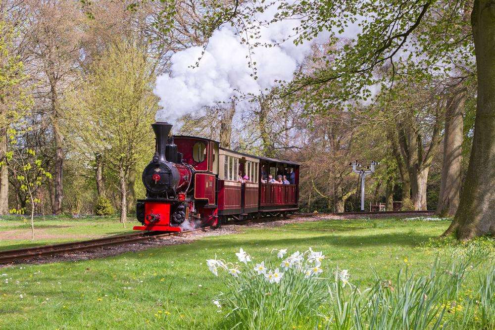 Full steam ahead at the Bredgar and Wormshill Light Railway. Picture: Alan Crotty.