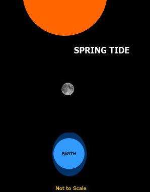 Spring tieds happen when the Sun, moon and Earth align (4699395)
