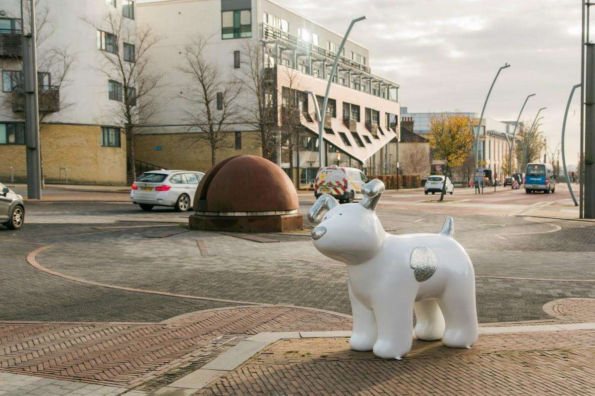 The Snowdogs will take over the town, appearing in Ashford's streets for 10 weeks