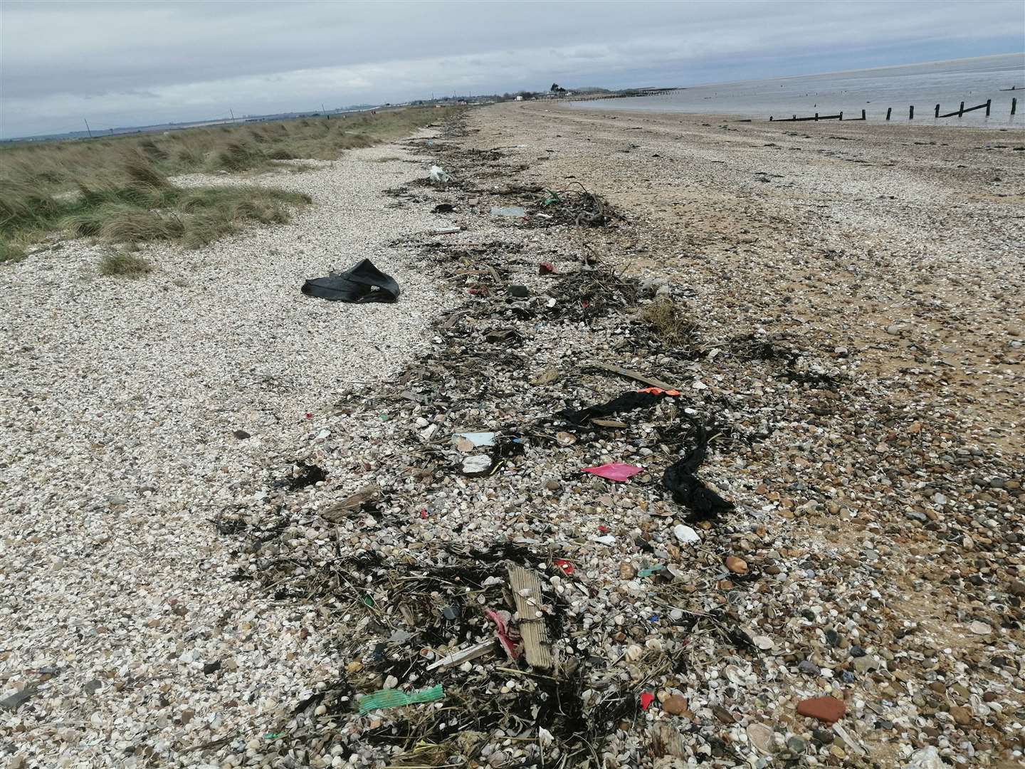 Mia Newbury picks up plastic that has washed up on the beach every time she goes out