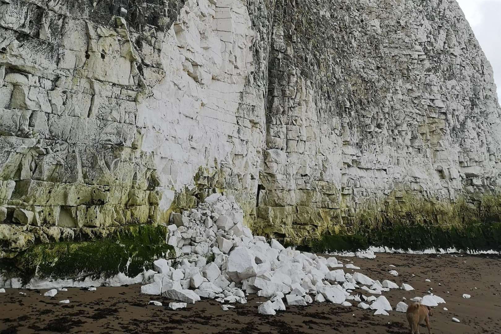 Part of the cliff has fallen on Kingsgate Bay Beach. Photo: Philip Heath-Hall (61719190)