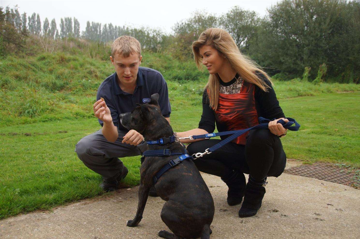 The former Miss Universe GB got to meet the residents of the animal rescue centre Picture: Mike Dooley