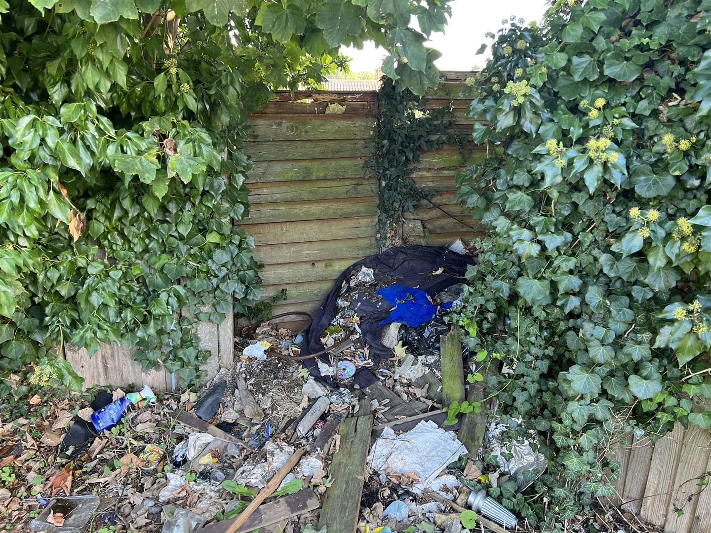 Rubbish dumped by the Coombe Drive alleyway