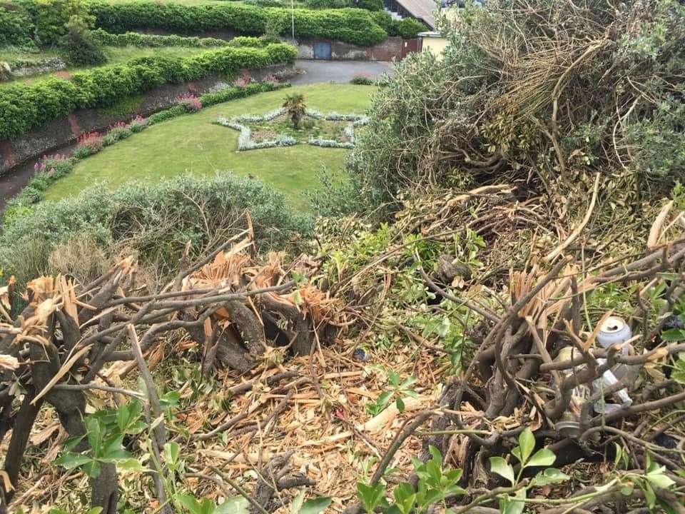 Thanet council was investigated by police after angry residents complained about hedgerow cutting at Margate Winter Gardens