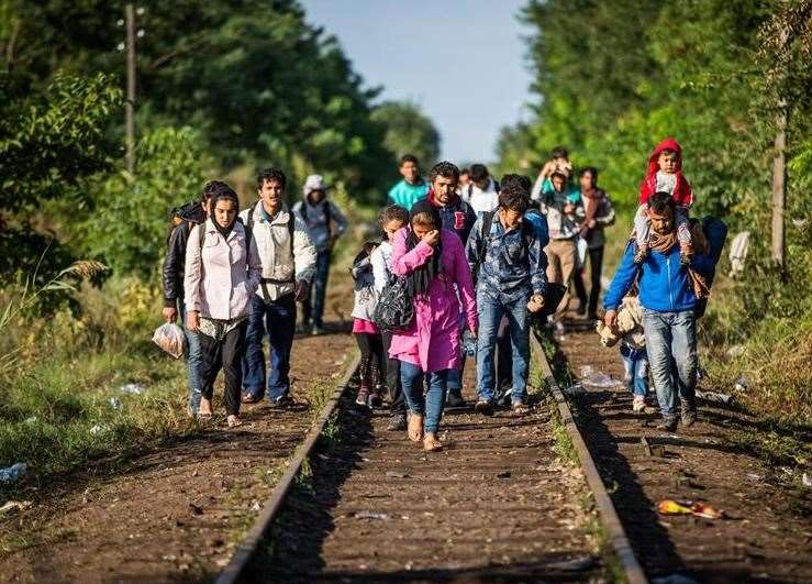 Syrian refugees crossing the border from Hungary to Serbia