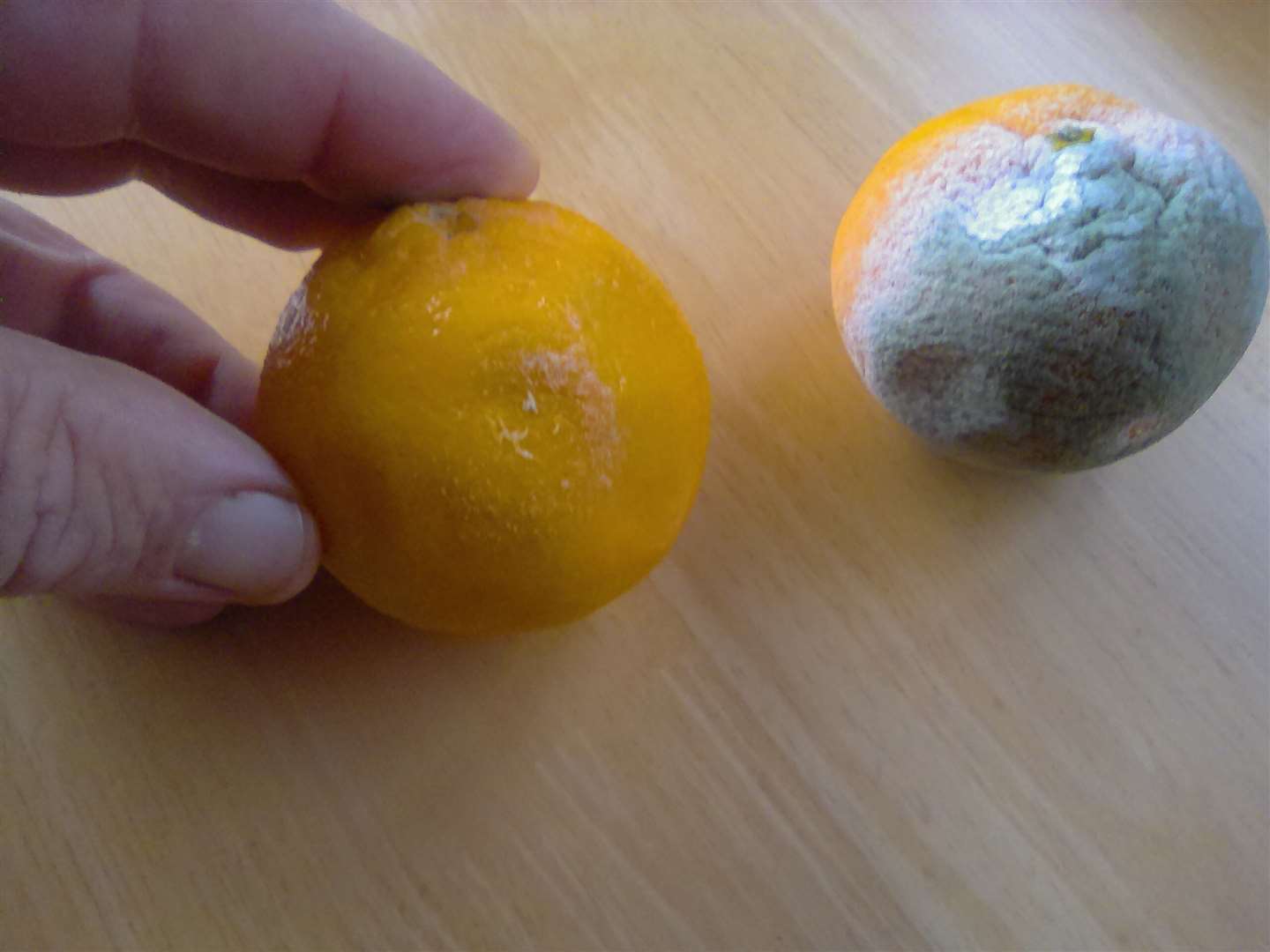 Some fruit has allegedly arrived mouldy or past its expiration date