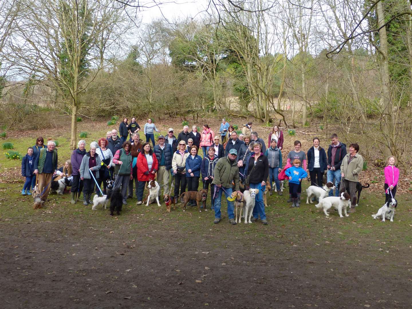 The charity dog walk from Frandham Kennels. (1472240)