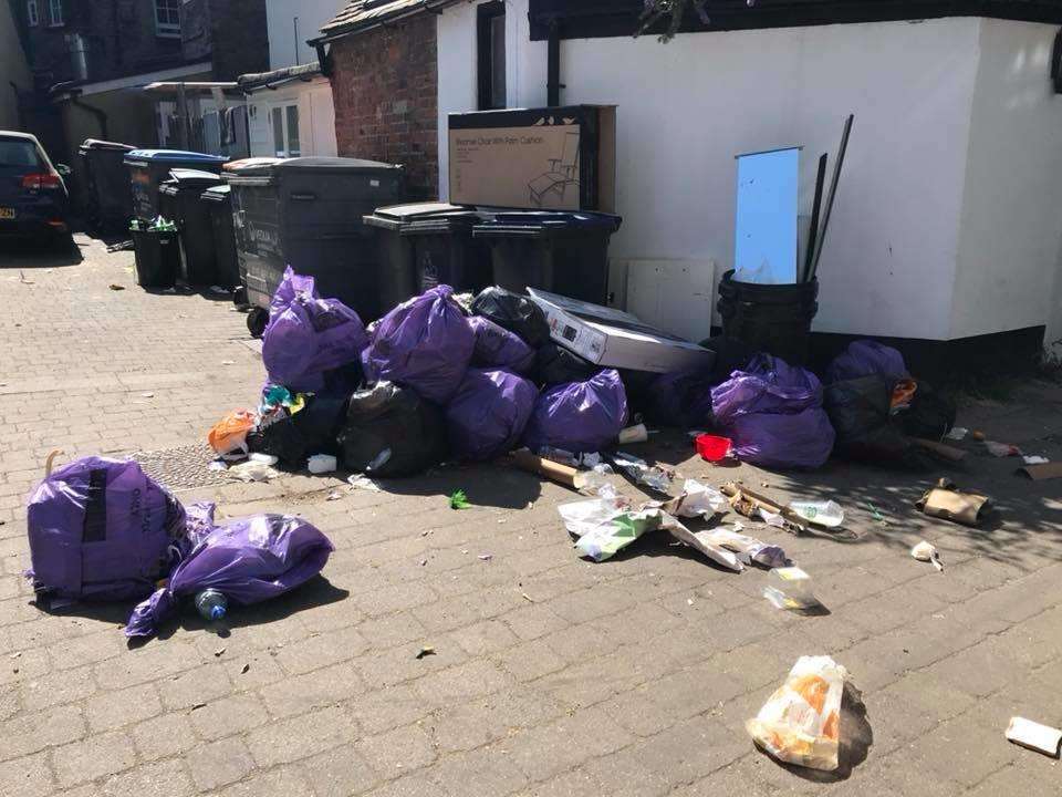 Rubbish torn from the purple bin bags in Cobden Place in July. Picture: Beverley Paton (7265853)
