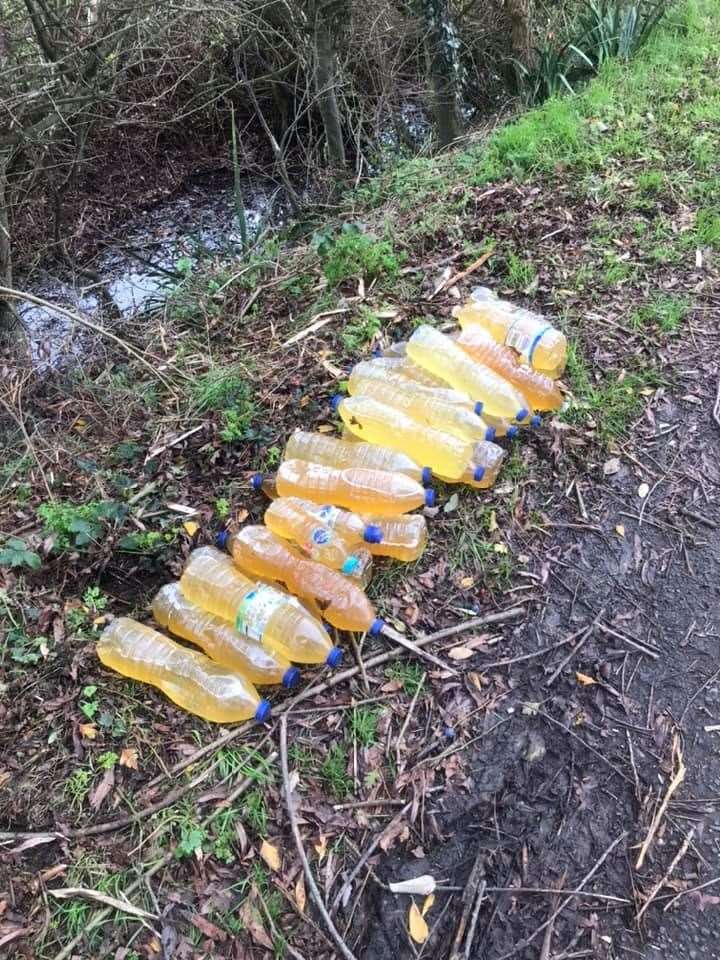 Litter pickers stacked the bottles by the roadside for collection. Photo: David Knight