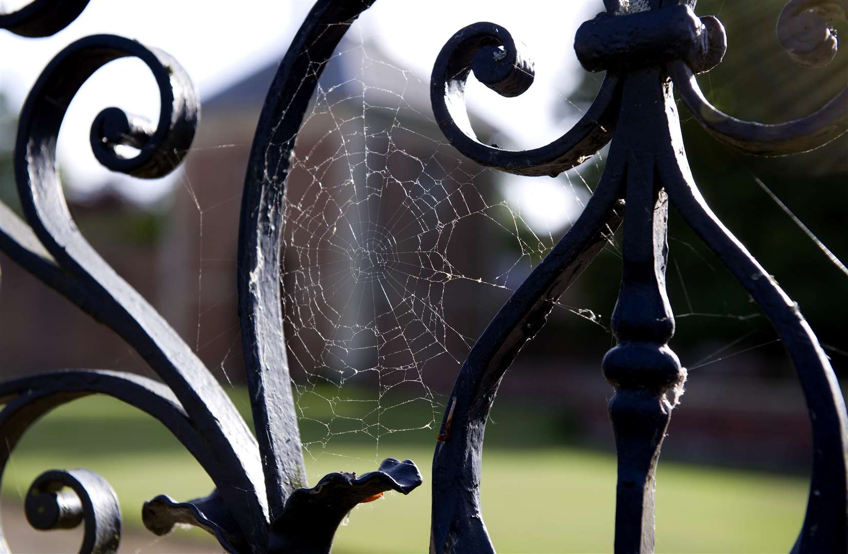 Halloween is being celebrated at Kent's National Trust properties