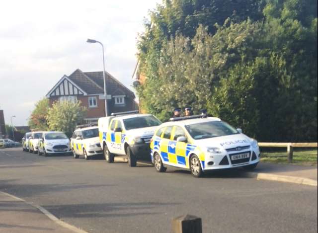 Up to seven police cars were seen at the scene