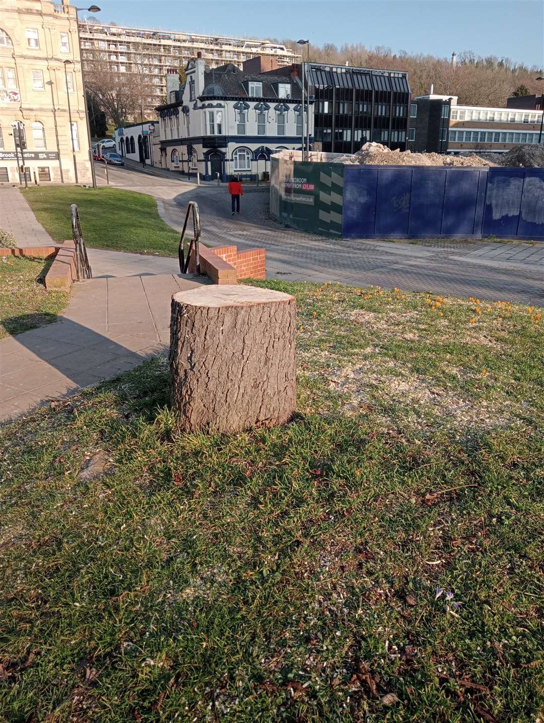 Trees have been felled at the town centre green space
