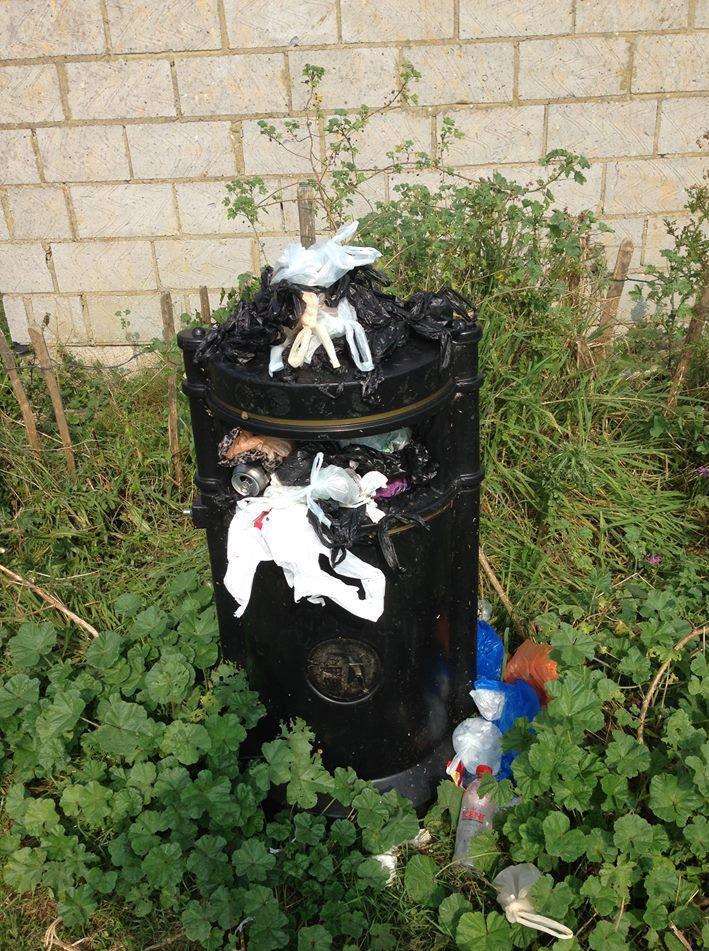 The bin at Western Road playing field was over-spilling with waste, including dog poo bags