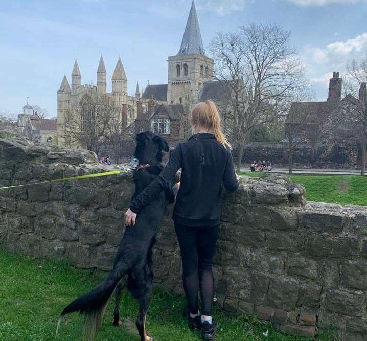 Boris and Elsie at Rochester Castle. Picture: Karina Ridley