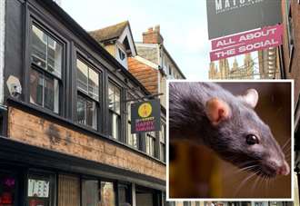 Dead rat and mould found at restaurant shut down for almost a week